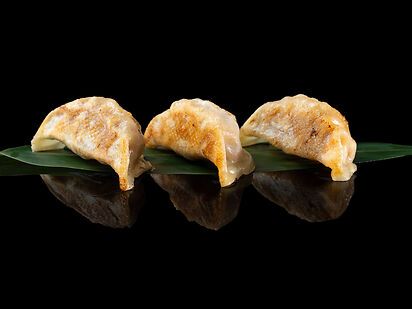 GYOZA ALLA GRIGLIA
