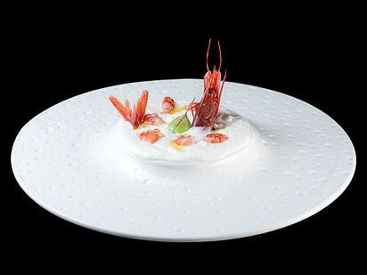 TARTARE AMAEBI